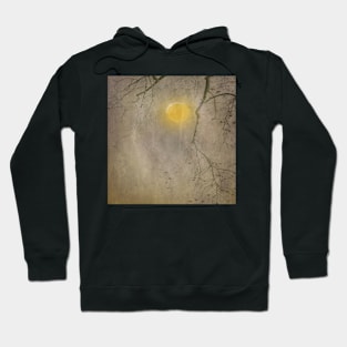 Vintage Landscape 09 Hoodie